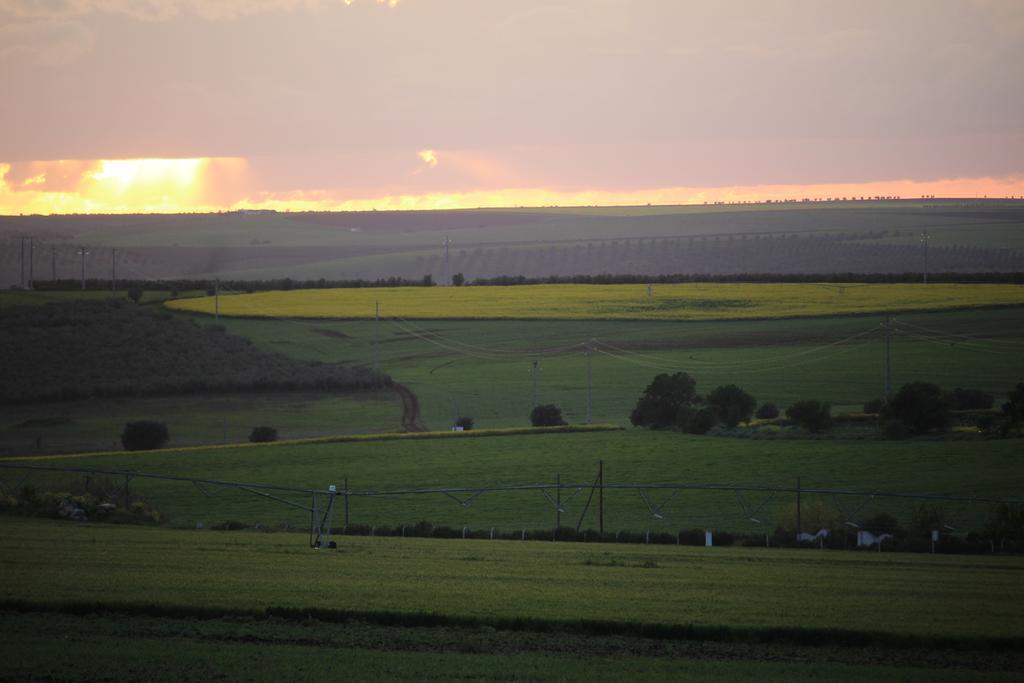 Monte Da Morena Agro-Turismo เซอร์ปา ภายนอก รูปภาพ